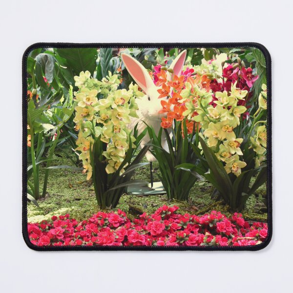Item preview, Orchid Rabit 10 designed and sold by MangoSeeds.
