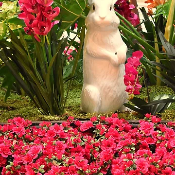 Artwork thumbnail, Orchid Rabbit 11 by MangoSeeds