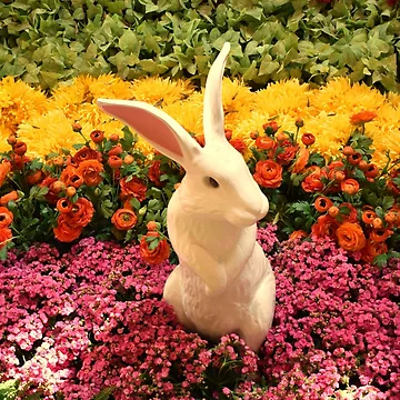 Artwork thumbnail, Orchid Rabbit 12 by MangoSeeds