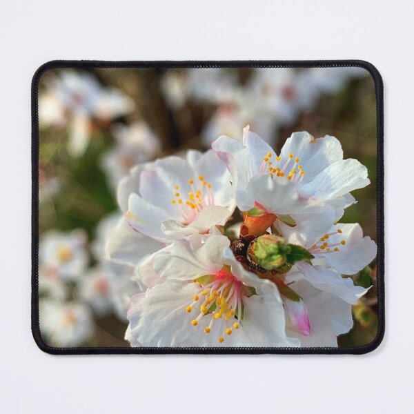 Item preview, Blossom print   designed and sold by Rhia4rt.