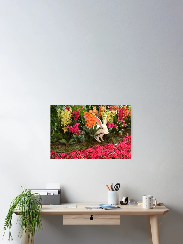 Thumbnail 2 of 3, Poster, Orchid Rabbit 14 designed and sold by MangoSeeds.