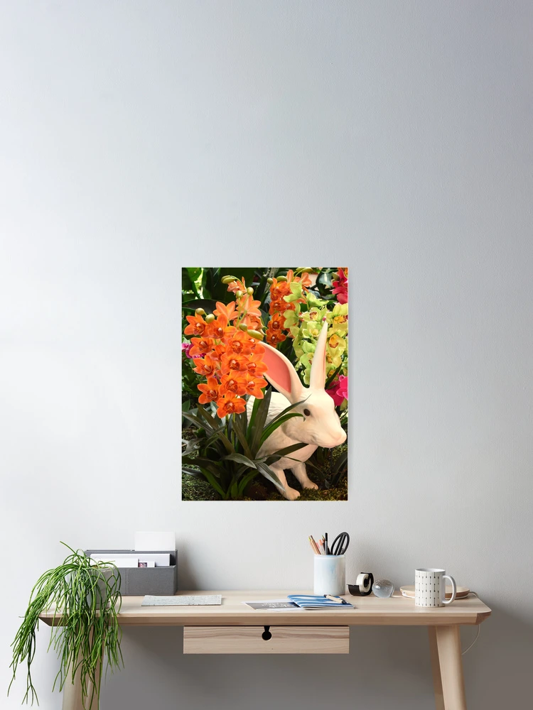Thumbnail 2 of 3, Poster, Orchid Rabbit 14: Cropped designed and sold by MangoSeeds.
