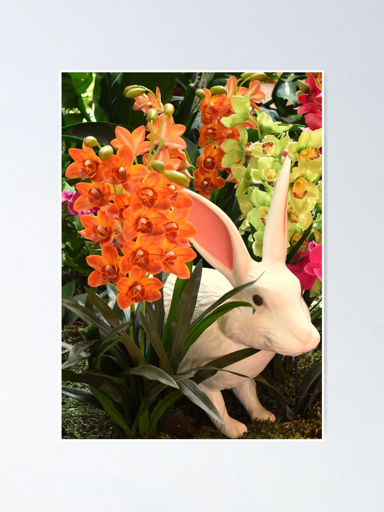 Thumbnail 1 of 3, Poster, Orchid Rabbit 14: Cropped designed and sold by MangoSeeds.