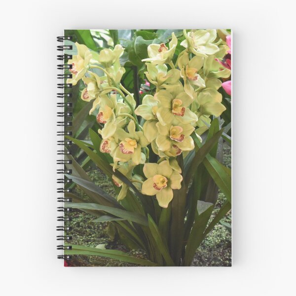 Item preview, Pretty Green Orchids designed and sold by MangoSeeds.