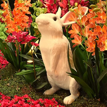Artwork thumbnail, Orchid Rabbit 15 by MangoSeeds