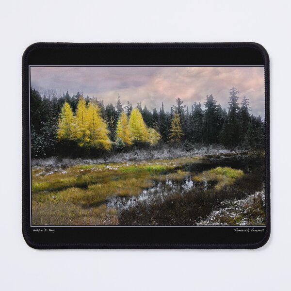 Item preview, Tamarack Tempest  Fine Art Poster designed and sold by Wayne King.