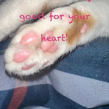 Artwork thumbnail,  Beans beans by Punkinchunk