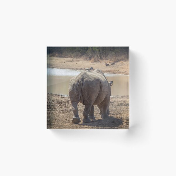 Item preview, Rhinoceros Heading to a Pond, Africa designed and sold by jrtwynam.