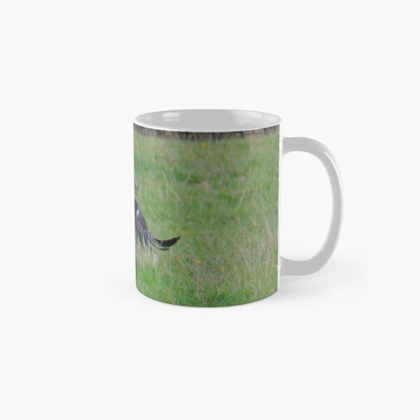 RAPTOR ~ Young Wedge-tailed Eagle DJI7D42KM7Z by David Irwin Classic Mug