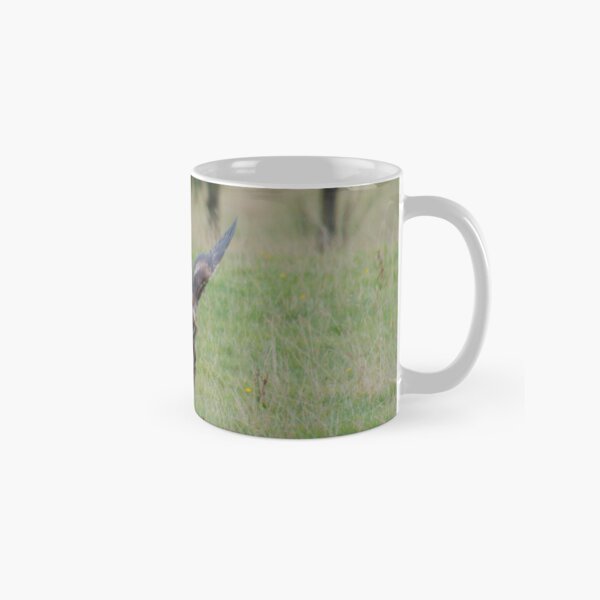 RAPTOR ~ Young Wedge-tailed Eagle DJITRTA6ASQ by David Irwin Classic Mug