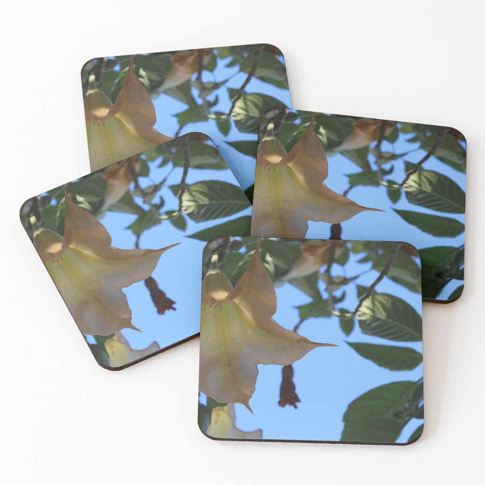 Item preview, Coasters (Set of 4) designed and sold by SheehanPhoto.