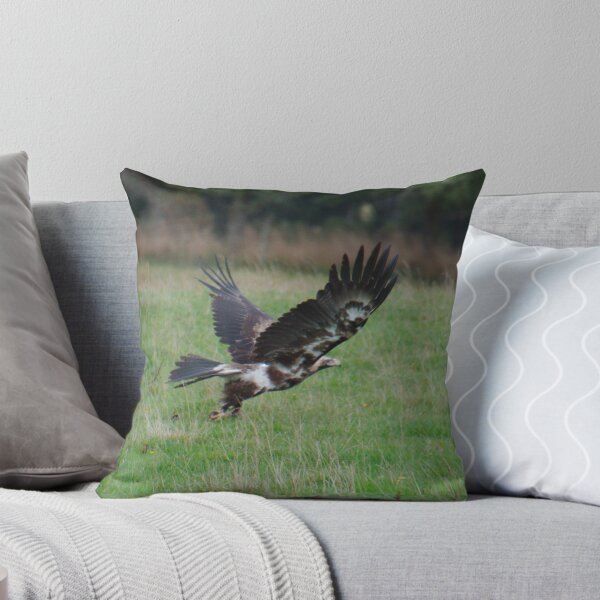 Item preview, RAPTOR ~ Young Wedge-tailed Eagle DJIY353HK4M by David Irwin designed and sold by tasmanianartist.