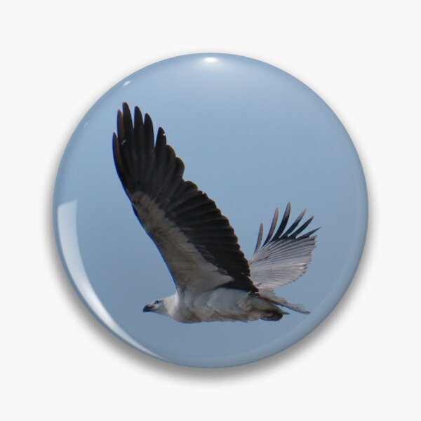 Artikelvorschau, RAPTOR ~ Weißbauch-Seeadler DJID7HHDCR2 von David Irwin entworfen und verkauft von tasmanianartist.