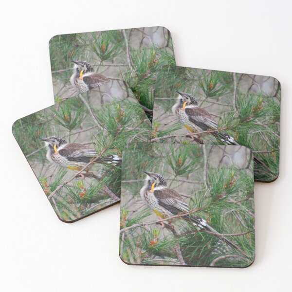 HONEYEATER ~ Yellow Wattle Bird DJI84Z2BYRQ by David Irwin Coasters (Set of 4)
