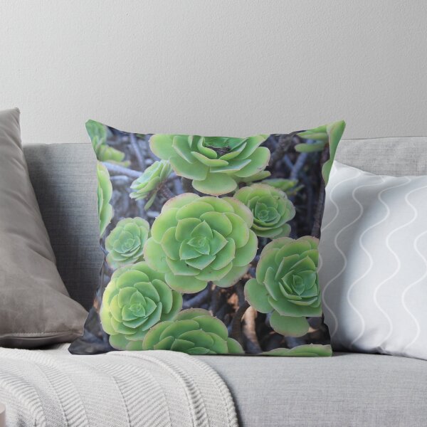 Item preview, Campo de suculentas designed and sold by SheehanPhoto.