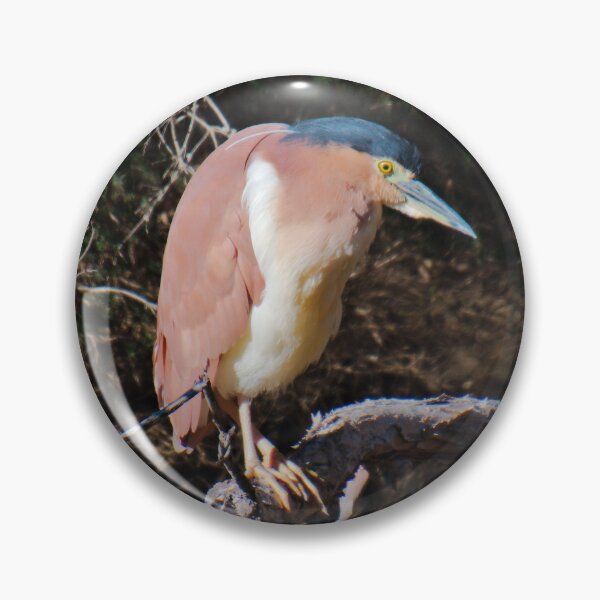 Item preview, WADER ~ Rufus Night Heron DJIDJKUFFQY by David Irwin designed and sold by tasmanianartist.