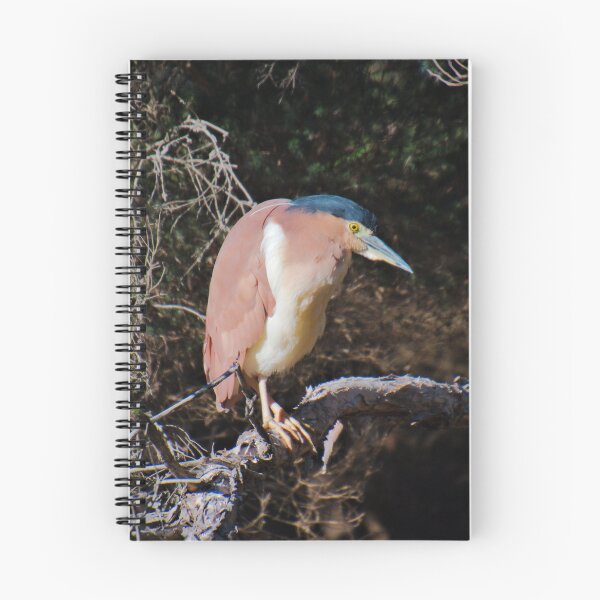 Item preview, WADER ~ Rufus Night Heron DJIDJKUFFQY by David Irwin designed and sold by tasmanianartist.