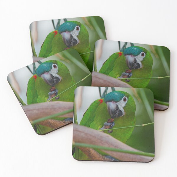 Item preview, PARROT ~ Hahn's Macaw DJIW8U48JUV by David Irwin designed and sold by tasmanianartist.