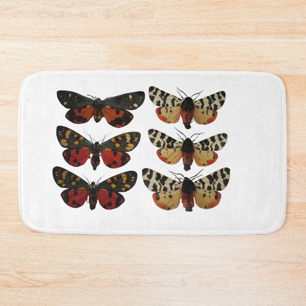 Item preview, Cute tiger moths! Callimorpha dominula & Arctia tigrina designed and sold by Entomologist.