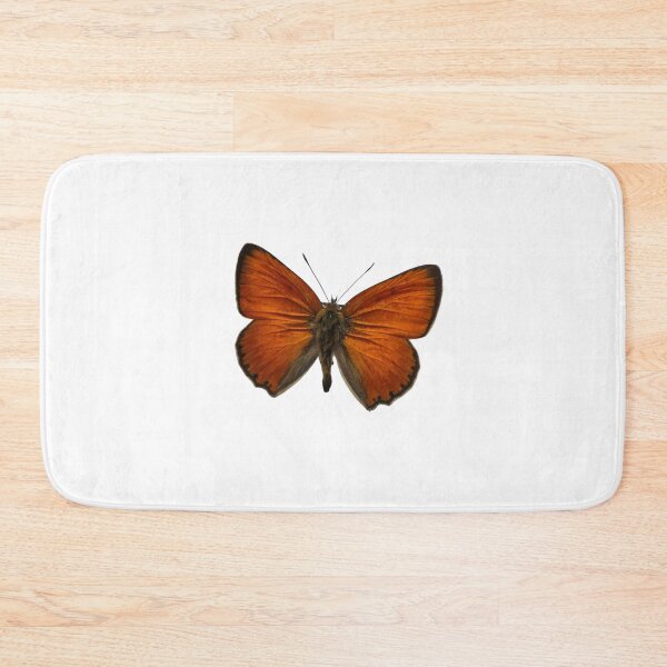 Item preview, Lycaena vigaurae: Scarce copper designed and sold by Entomologist.