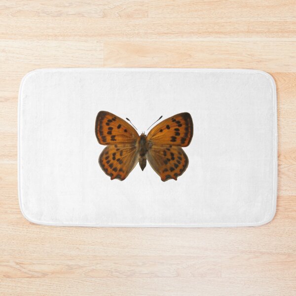 Item preview, Lycaena ottomana: Grecian copper designed and sold by Entomologist.