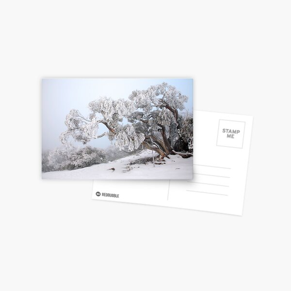 Item preview, Snowbound Snowgum, Mt Feathertop, Australia designed and sold by Michael Boniwell.