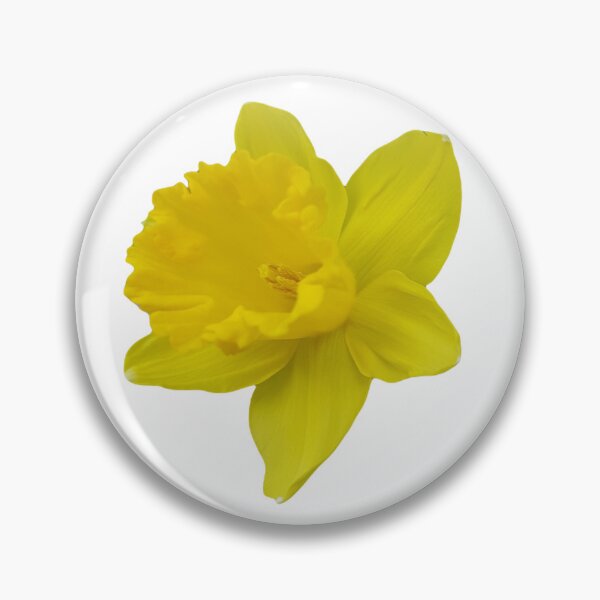 Item preview, Yellow Flower Sticker Daffodil designed and sold by flowergirlrosie.