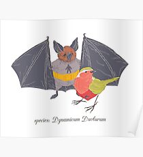Dynamic Duo Poster