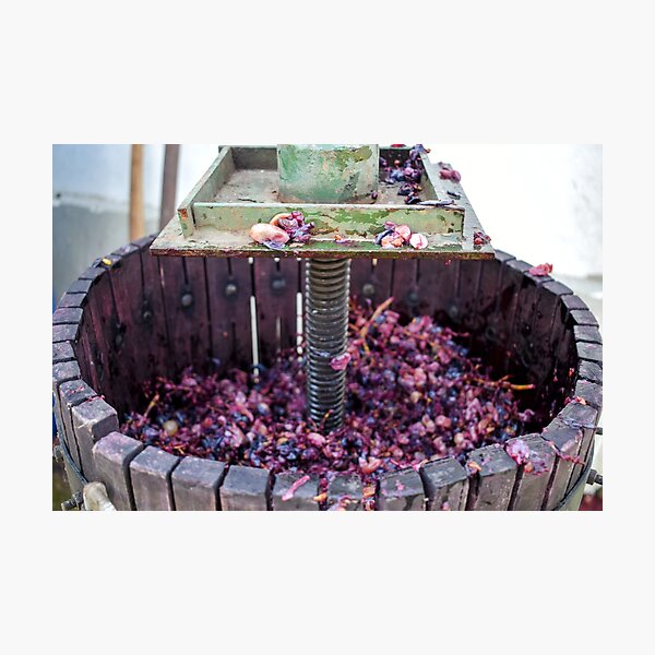 Item preview, Vineyard Grape Harvest designed and sold by Anastasia Kaneva.
