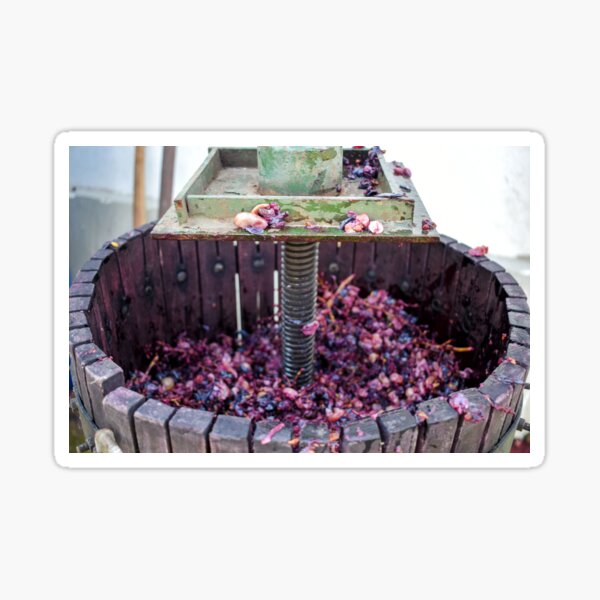 Item preview, Vineyard Grape Harvest designed and sold by Anastasia Kaneva.