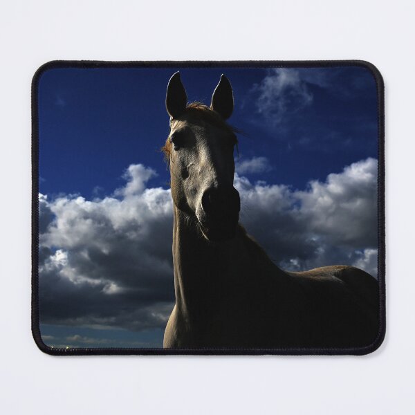 Item preview, horse “Concept Art Clan of Vagabonds” by ©Carina Mac Laughlan designed and sold by clanofvagabonds.