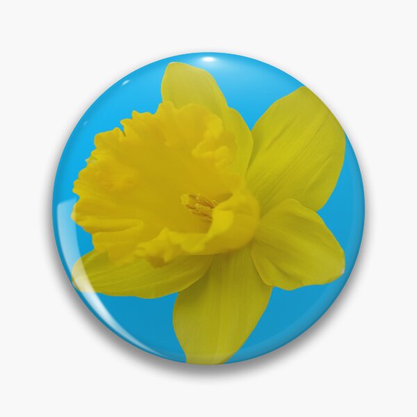 Item preview, Bright yellow daffodil with bright blue background designed and sold by flowergirlrosie.