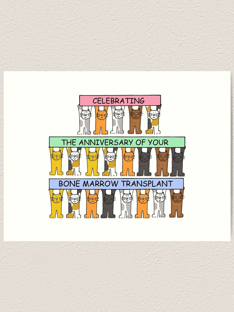 Anniversary of Bone Marrow Transplant Congratulations Cartoon Cats Anniversary of Bone Marrow Transplant Congratulations Cartoon Cats