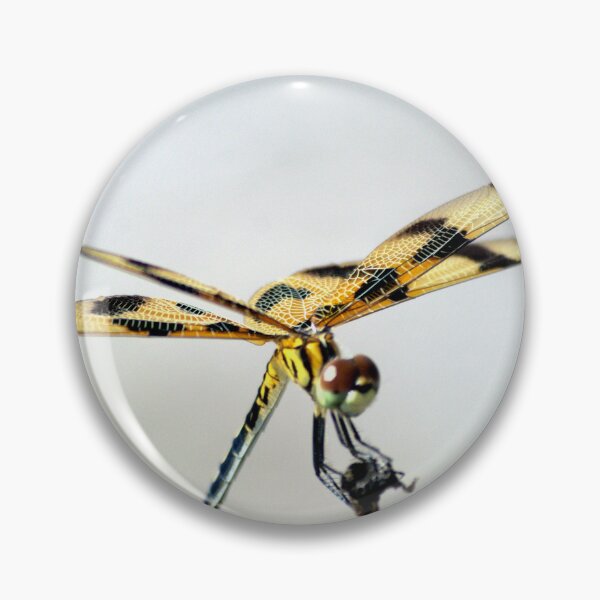 Item preview, Halloween Pennant Dragonfly designed and sold by MercerImages.