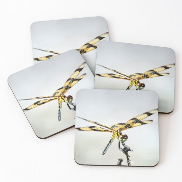 Item preview, Halloween Pennant Dragonfly designed and sold by MercerImages.