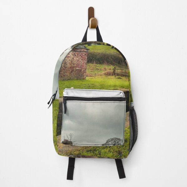 Item preview, Bridge 36 on the Caldon canal Hazlehurst junction. designed and sold by RobThorley.