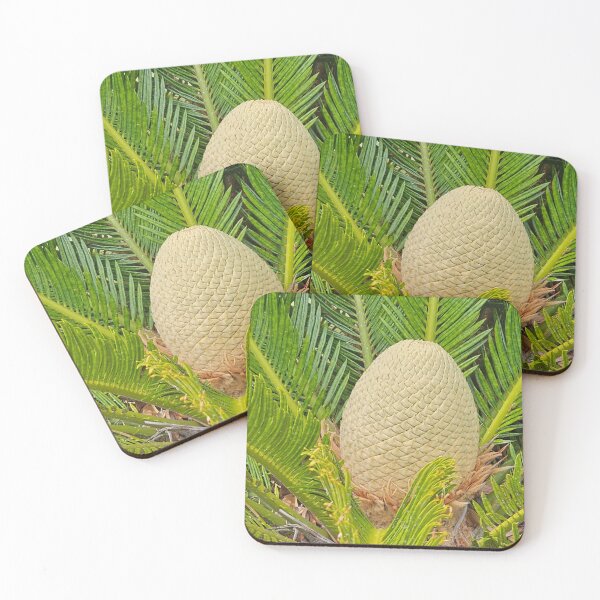 Item preview, Palm designed and sold by Larrysphotos.