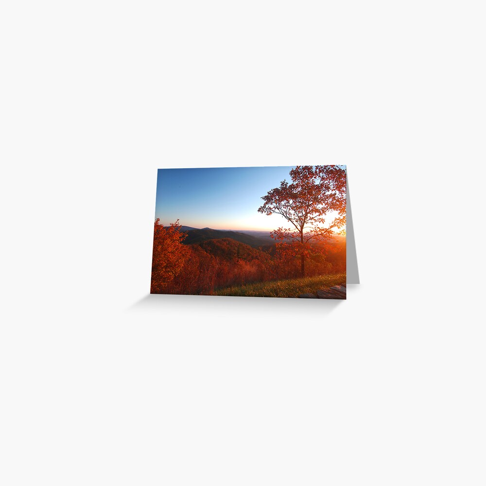Item preview, Greeting Card designed and sold by svecchiotti.