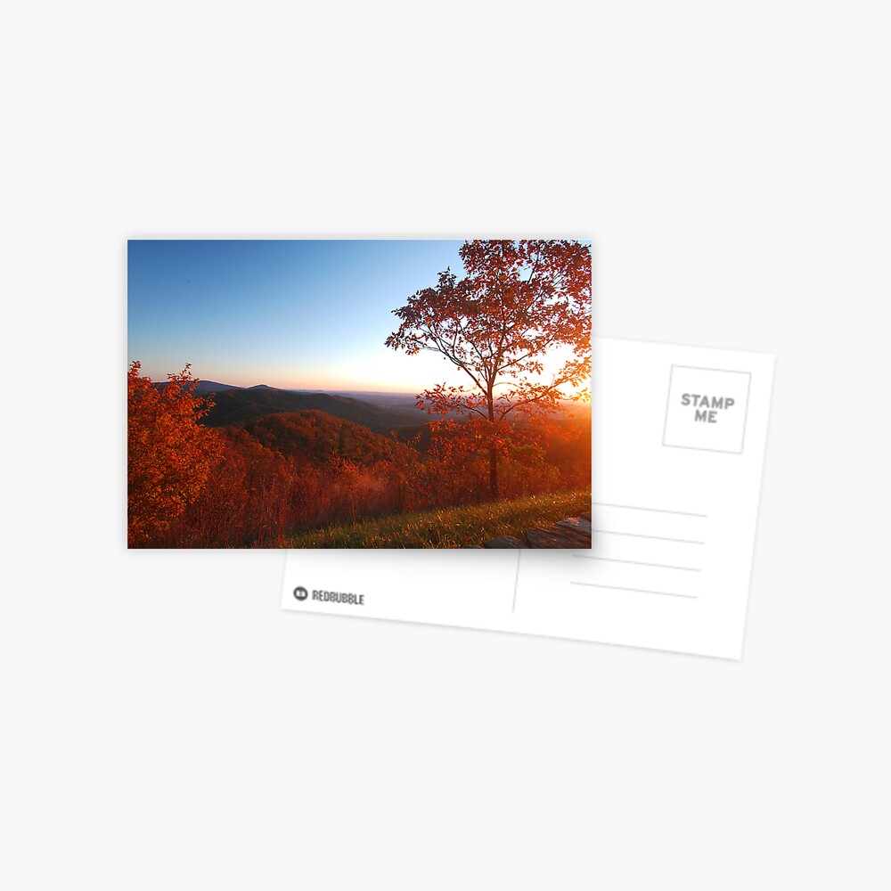 Item preview, Postcard designed and sold by svecchiotti.