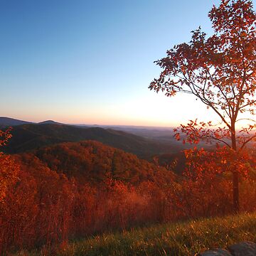 Artwork thumbnail, Shenandoah Autumn Sunrise by Stephen Vecchiotti