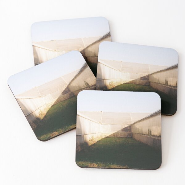 Item preview, Greenhouse During Golden Hour designed and sold by mikitapushnou.