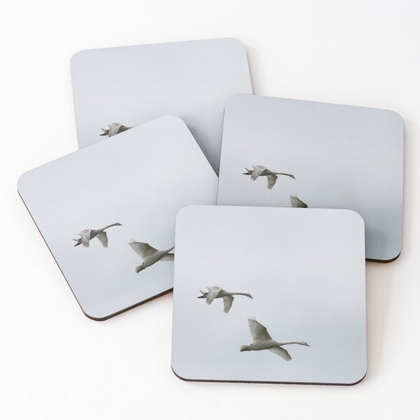 Item preview, Learning designed and sold by Kolmas-Paiva.