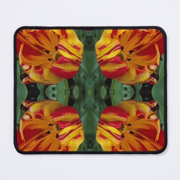 Item preview, Striking red and yellow tulips designed and sold by flowergirlrosie.