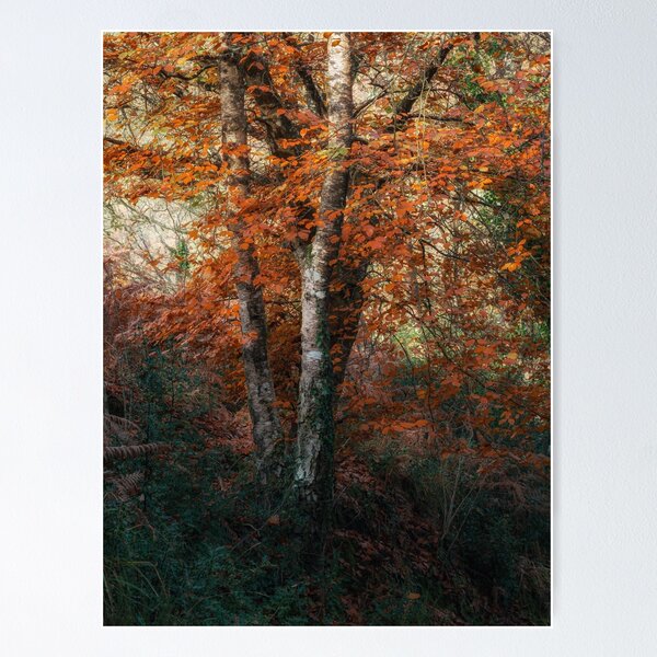 Item preview, Autumn Leaves on a Tree designed and sold by JoSowden.
