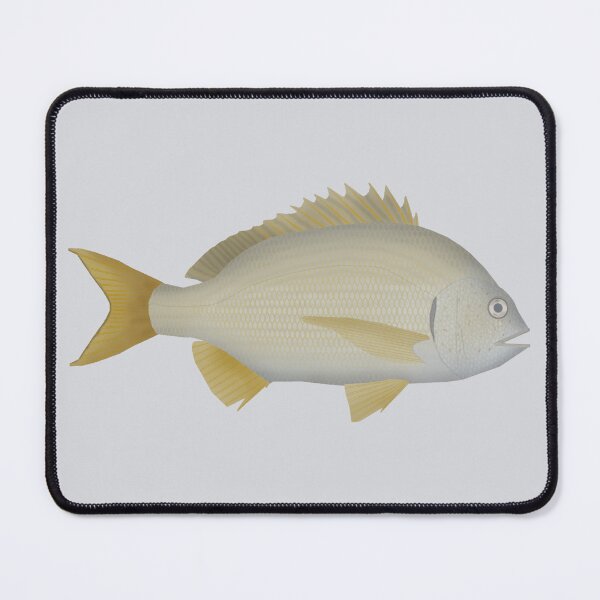 Item preview, Yellowfin Bream designed and sold by fishfolkart.