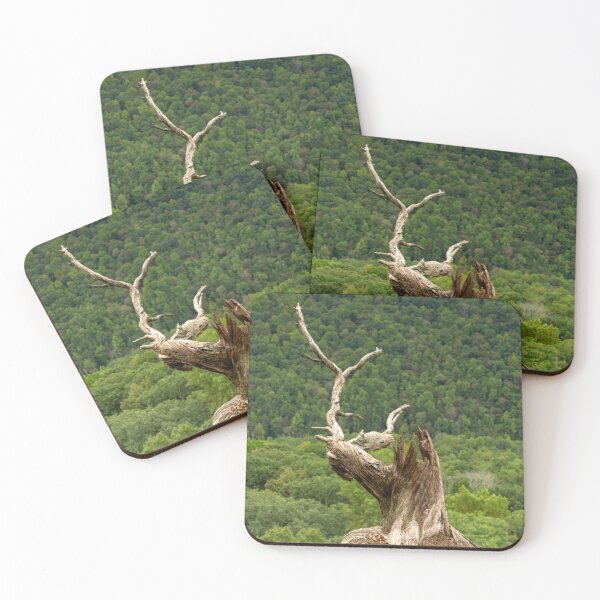 Item preview, Twisted Tree designed and sold by TinyDinoDesigns.