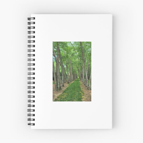 Item preview, Hall of trees designed and sold by Larrysphotos.