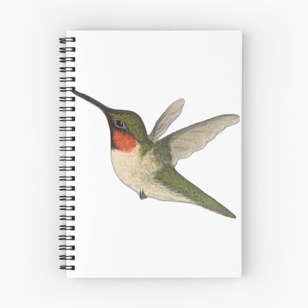 Item preview, Vintage Hummingbird Postcard designed and sold by ellanely.