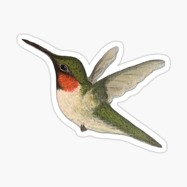 Item preview, Vintage Hummingbird Postcard designed and sold by ellanely.