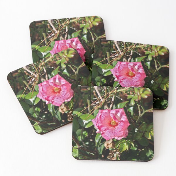 Item preview, Pink rose  designed and sold by McFleur's Lens.